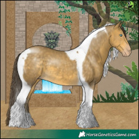 Horse Color:Sable Cream Champagne Tobiano