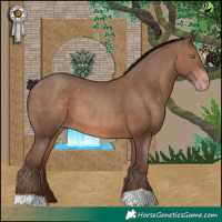 Horse Color:Sable Champagne 