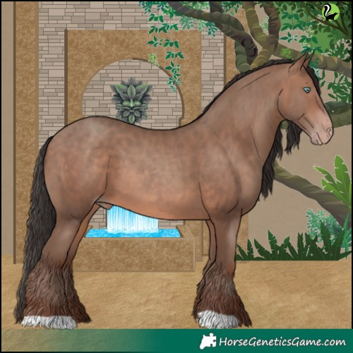 Horse Color:Sable Champagne 