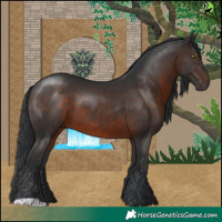 Horse Color:Brown 
