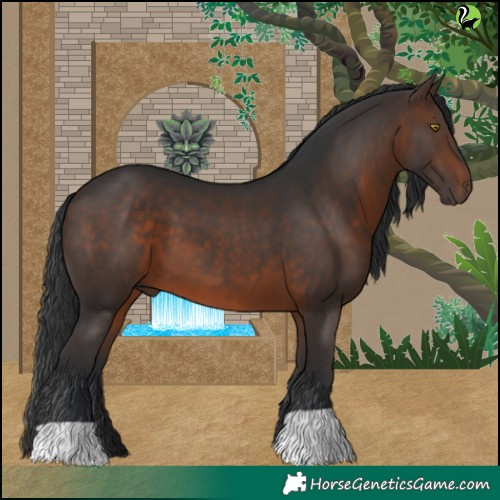 Horse Color:Brown 