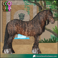 Horse Color:Sable Champagne and Brown