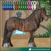 Horse Color:Sable Champagne and Brown
