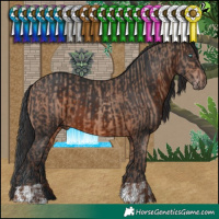 Horse Color:Sable Champagne and Brown