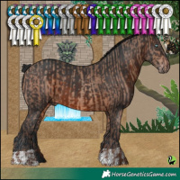 Horse Color:Sable Champagne  and Brown 