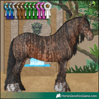 Horse Color:Sable Champagne and Brown
