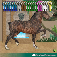 Horse Color:Sable Champagne and Brown
