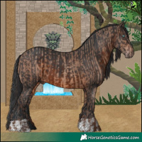 Horse Color:Sable Champagne  and Brown 