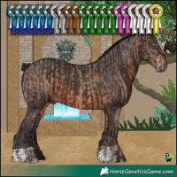 Horse Color:Sable Champagne  and Brown 