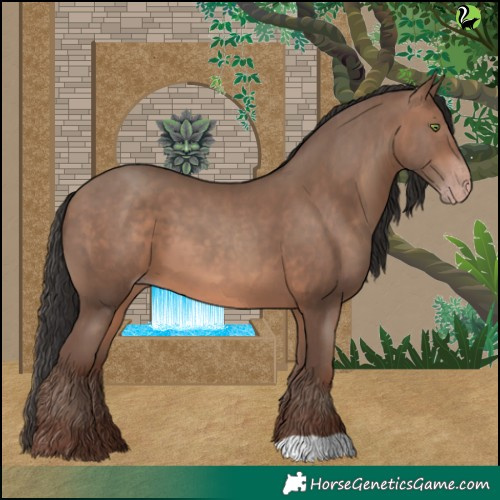 Horse Color:Sable Champagne