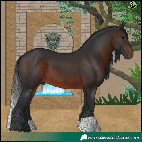 Horse Color:Brown 