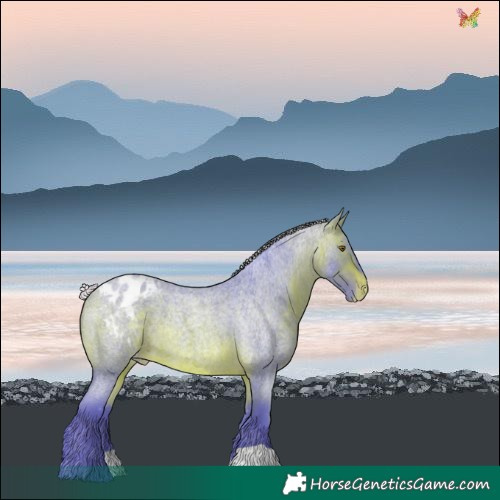 Horse Color:Watercolor Silver Brown Roan Varnish 