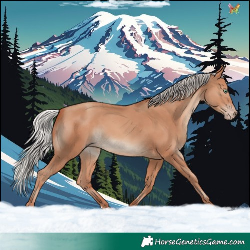 Horse Color:Silver Sable Champagne 