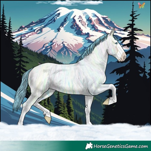 Horse Color:Watercolor Buckskin Ice Roan Dun Splash
