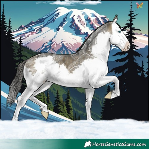 Horse Color:Brown Ice Splash