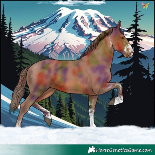 Horse Color:Nacre White Spotted Chestnut