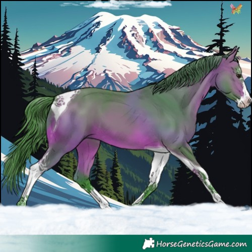 Horse Color:Watercolor Bay Splash Tobiano 