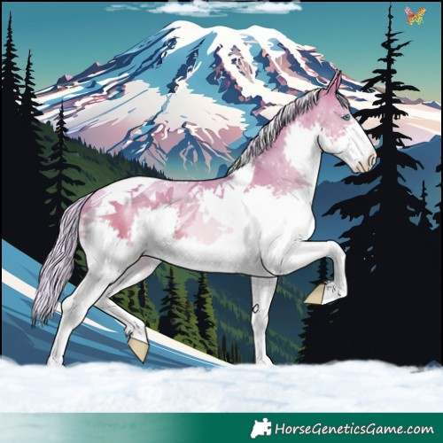 Horse Color:Watercolor Silver Amber Cream Champagne Dun Splash Tobiano 