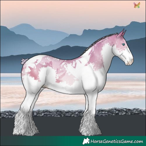Horse Color:Watercolor Silver Amber Cream Champagne Dun Splash Tobiano