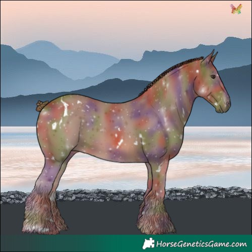 Horse Color:Nacre White Spotted Chestnut