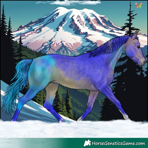 Horse Color:Watercolor Bay Tobiano 