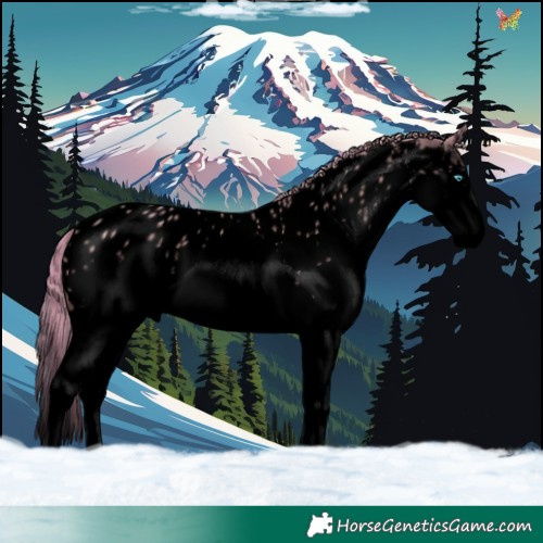 Horse Color:Void Watercolor White Spotted Gold Champagne Splash Appaloosa
