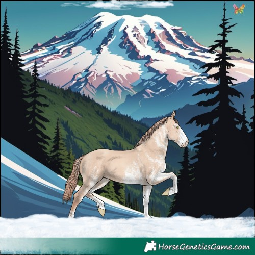 Horse Color:White Spotted Gold Champagne Dun 