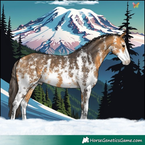Horse Color:Buckskin Sabino 