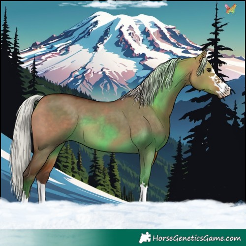 Horse Color:Silver Bay Dun