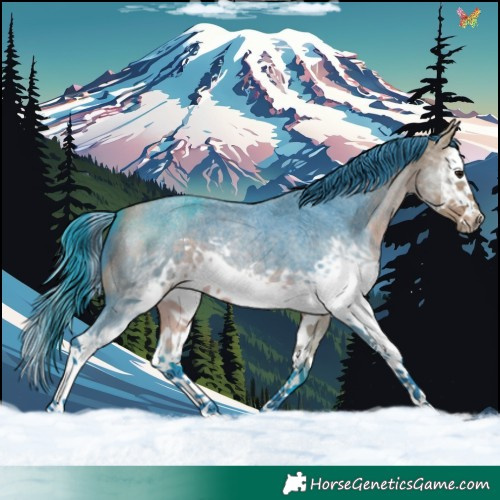 Horse Color:Watercolor White Spotted Buckskin Roan Splash Frame 