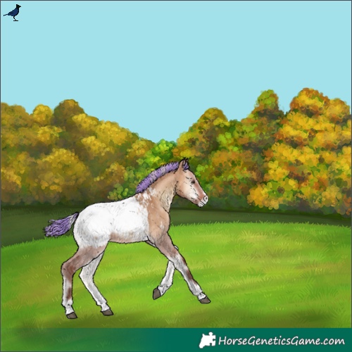 Horse Color:Painted Silver Bay Onyx Snowcap 