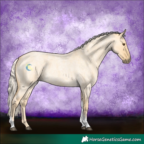 Horse Color:Palomino Roan Dun Tobiano
