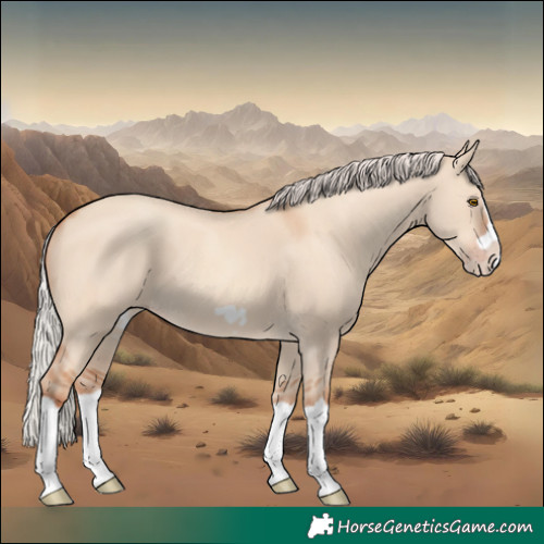 Horse Color:Silver Classic Champagne Dun Splash Frame