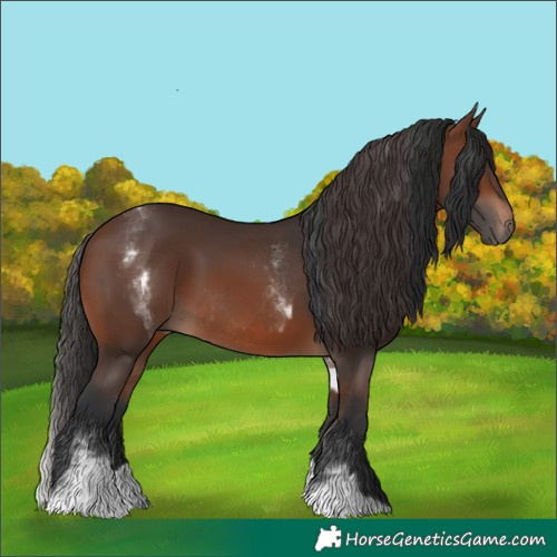 Horse Color:Brown Rabicano  and White Spotted Brown Rabicano 