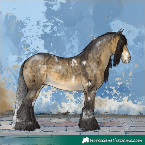 Horse Color:White Spotted Buckskin Dun Brindle 