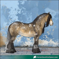 Horse Color:White Spotted Buckskin Dun Brindle 