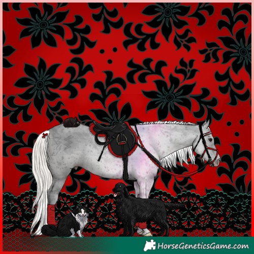 Horse Color:Silver Smoky Black Sabino Appaloosa 