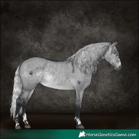 Horse Color:Silver Brown Chinchilla Dun 
