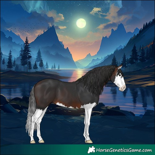 Horse Color:White Spotted Brown Splash 