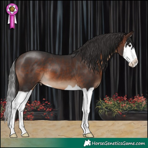 Horse Color:Brown Splash 