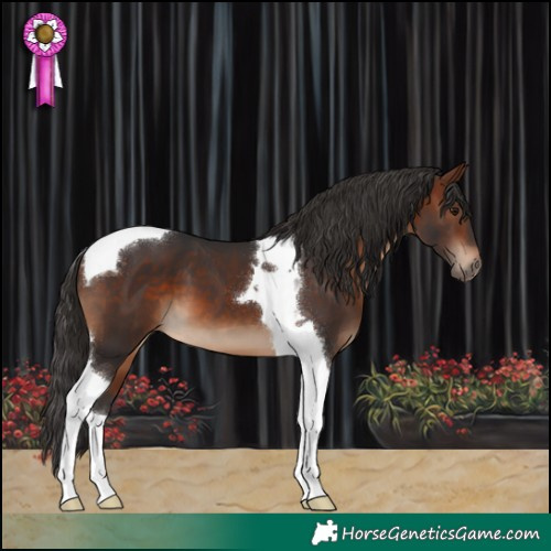 Horse Color:Bay Tobiano 