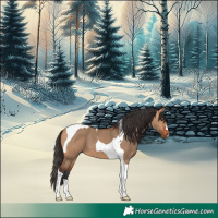 Horse Color:Bay Dun Tobiano