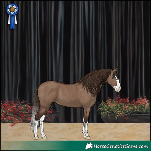 Horse Color:Liver Red Dun Splash 