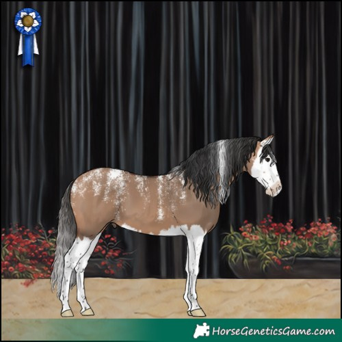 Horse Color:Powder White Bay Dun Splash 