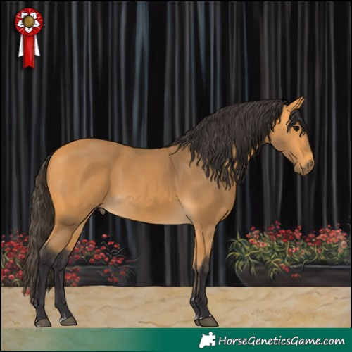 Horse Color:Buckskin 