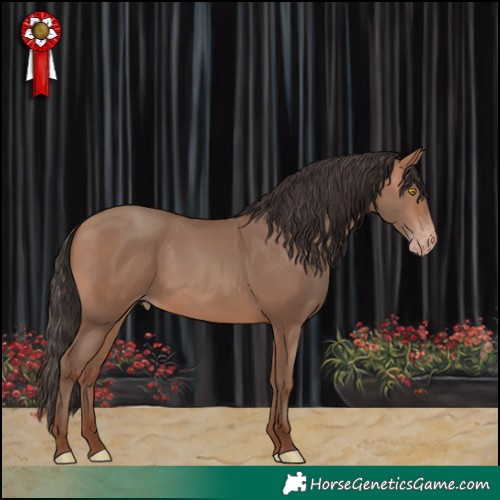 Horse Color:Sable Champagne Rabicano 