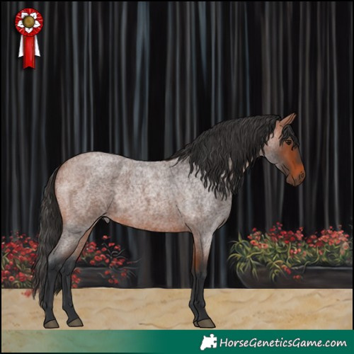 Horse Color:Bay Roan 