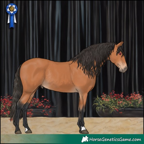 Horse Color:Bay Rabicano 