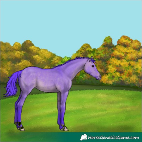 Horse Color:Watercolor Brown Dun 