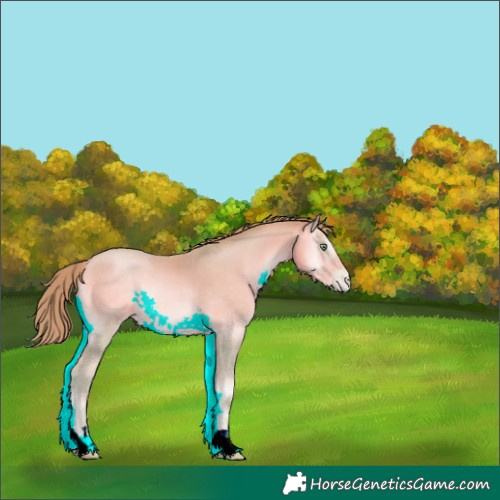 Horse Color:Watercolor Buckskin Pearl Onyx 